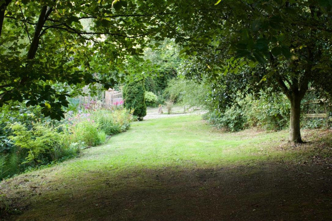 Bagnell Farm Cottage Chiselborough エクステリア 写真